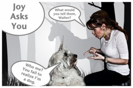 joyaskyou-e12997835688532