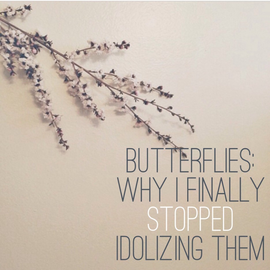 Butterflies: Why I Finally Stopped Idolizing Them